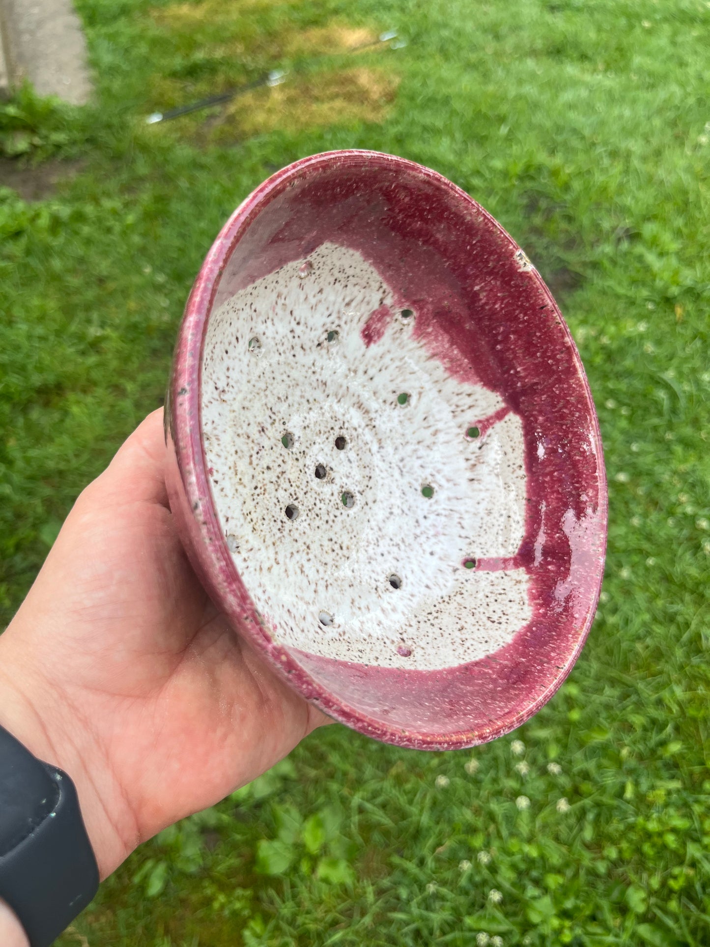 Berry Bowl